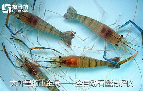 魚(yú)、貝、蝦